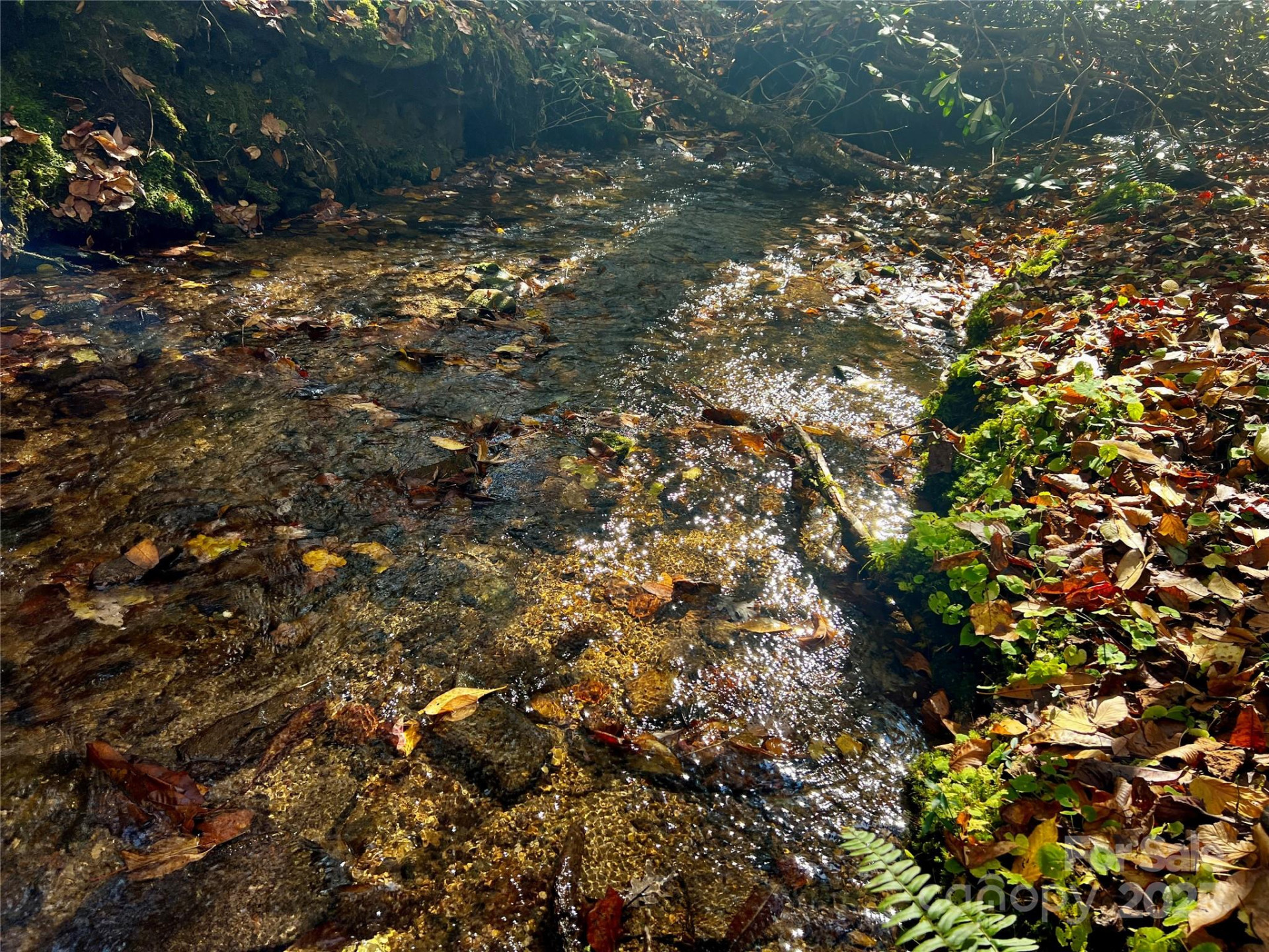 TBD Old Toxaway Road - Photo 12