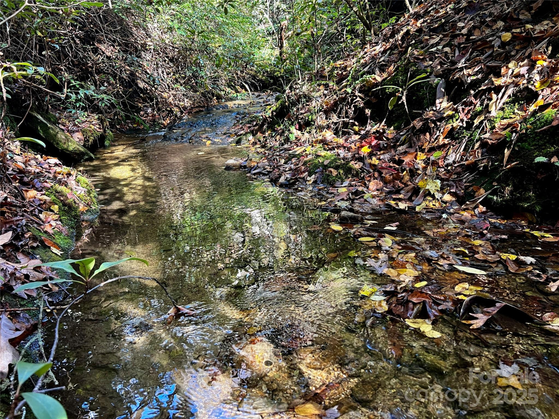 TBD Old Toxaway Road - Photo 13