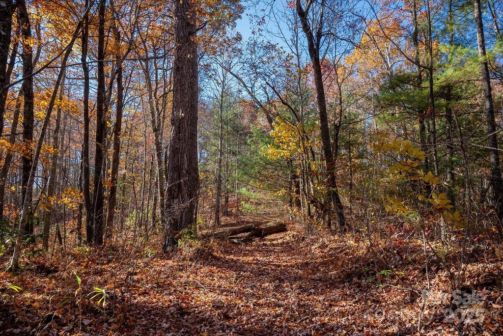 TBD Old Toxaway Road - Photo 14