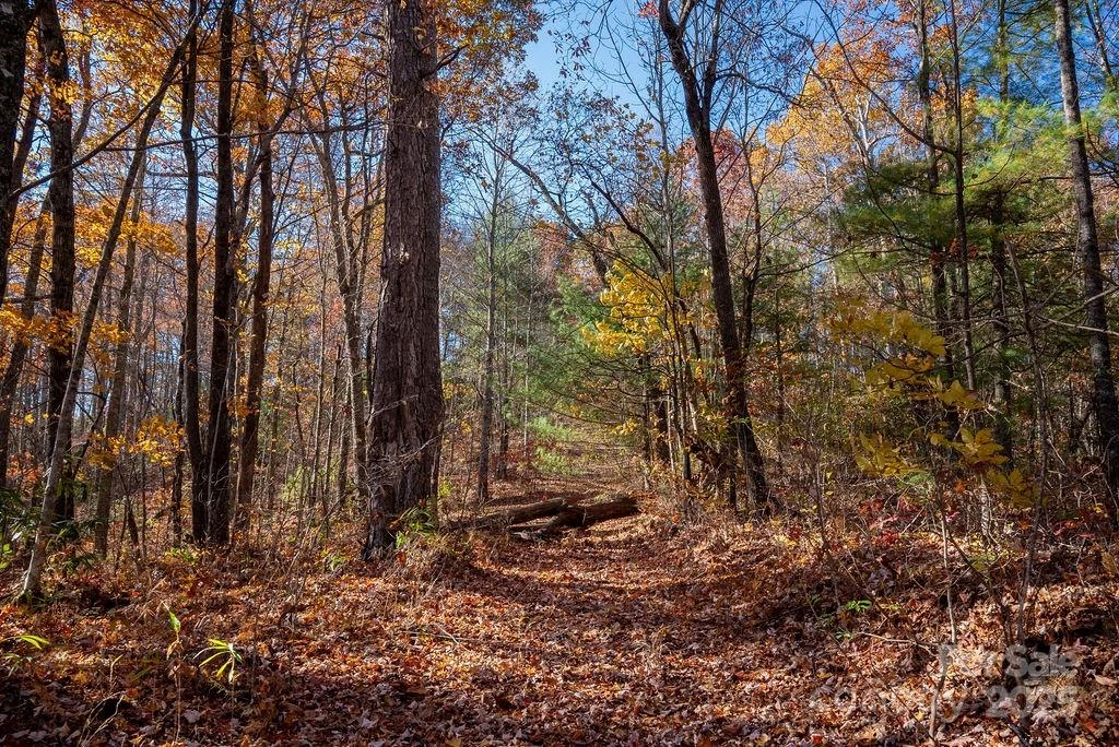 TBD Old Toxaway Road - Photo 14