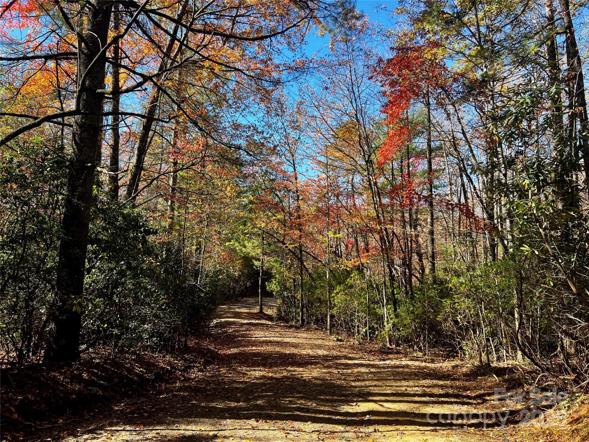 TBD Old Toxaway Road - Photo 16