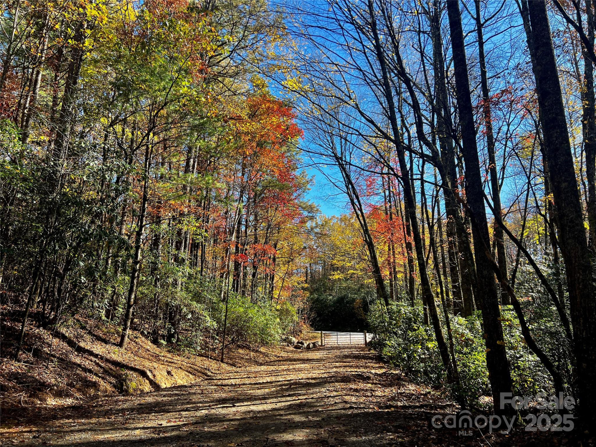 TBD Old Toxaway Road - Photo 17