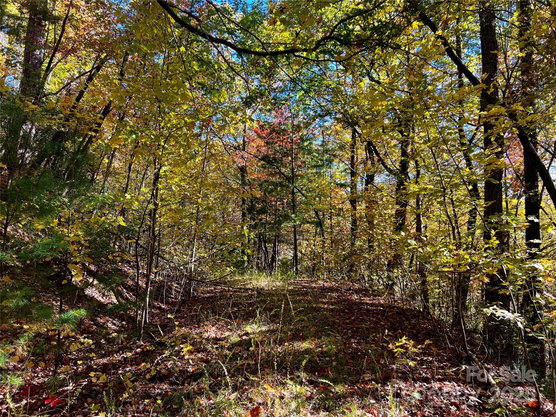 TBD Old Toxaway Road - Photo 18