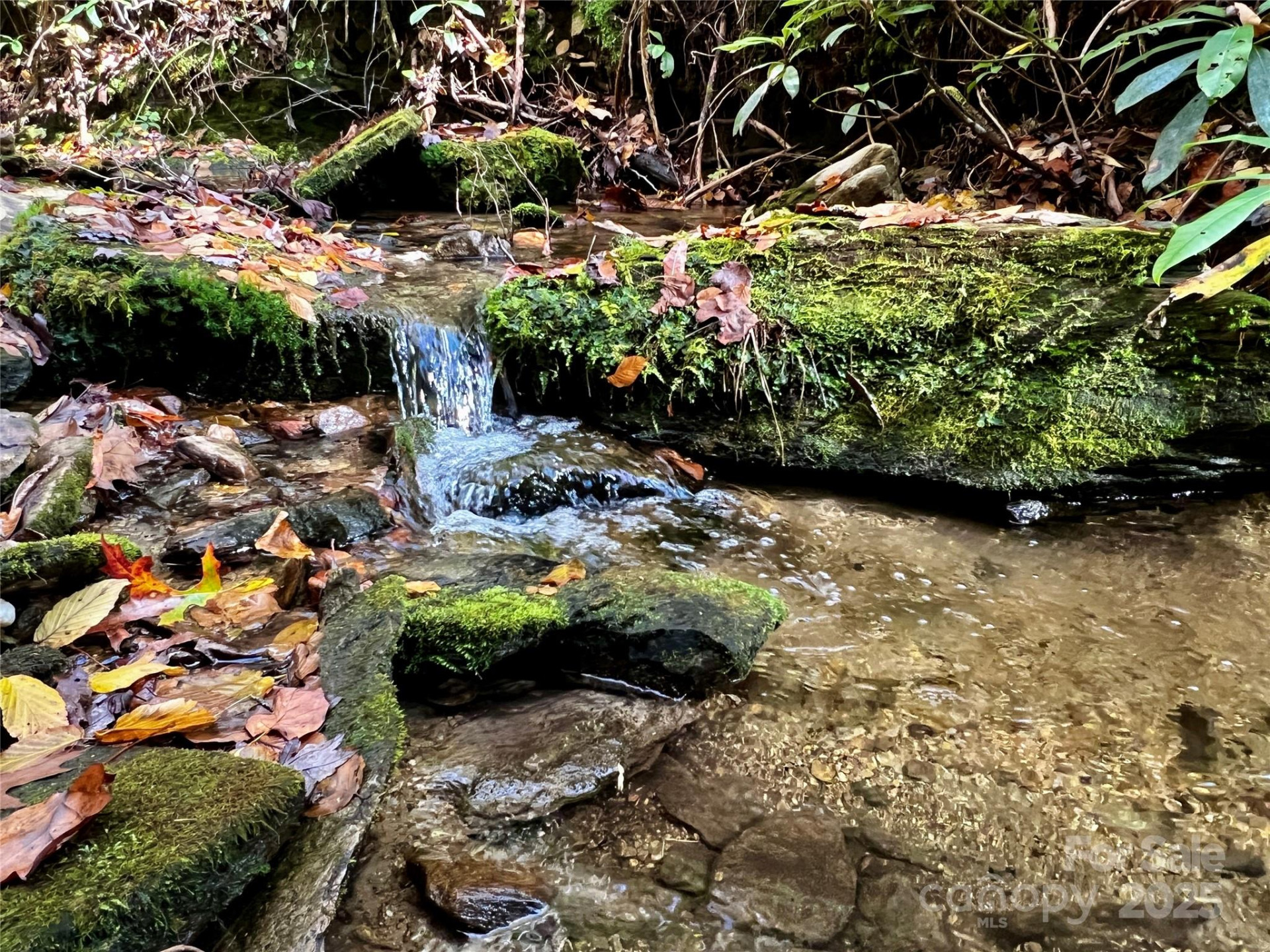 TBD Old Toxaway Road - Photo 19