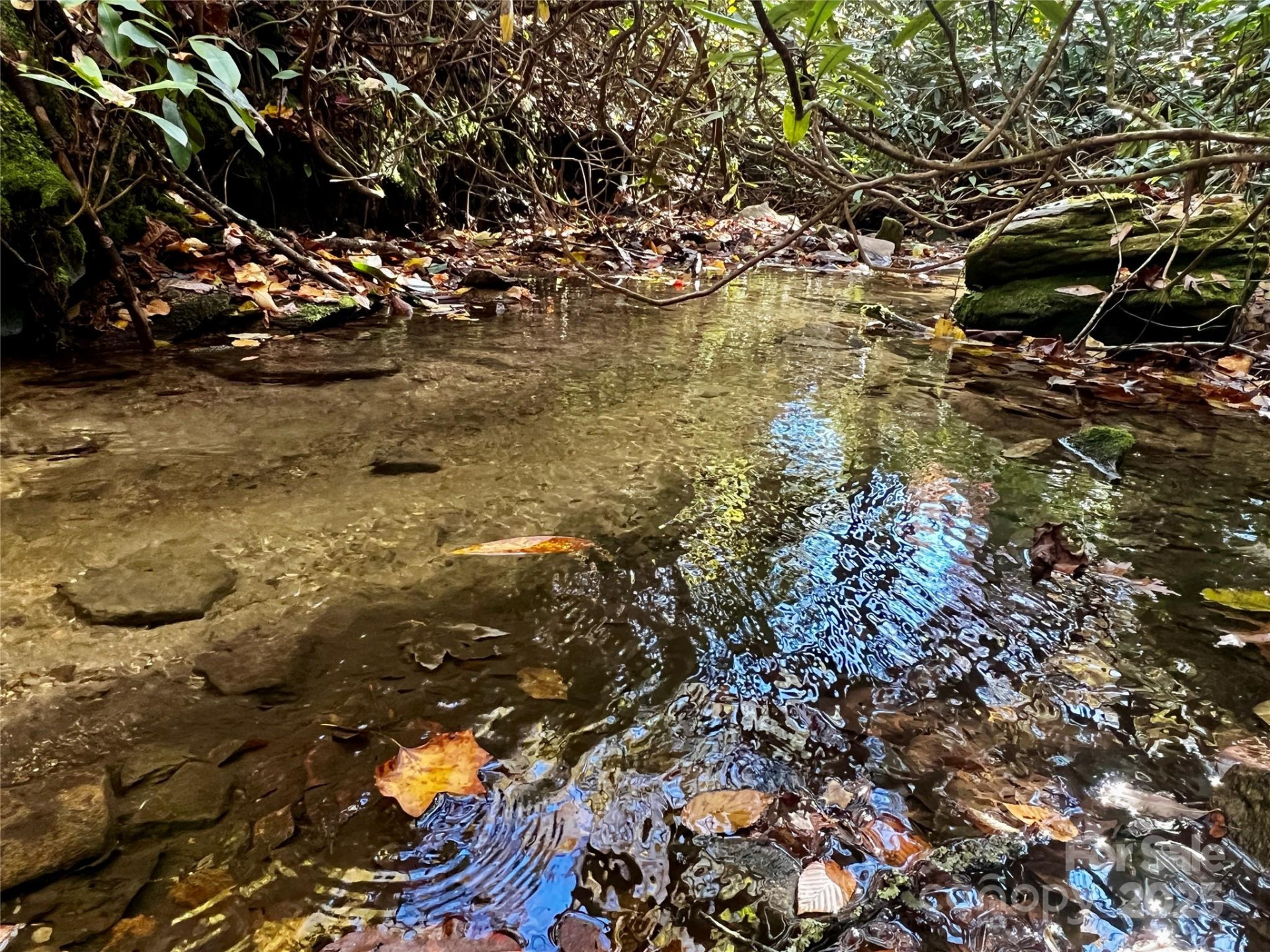 TBD Old Toxaway Road - Photo 22