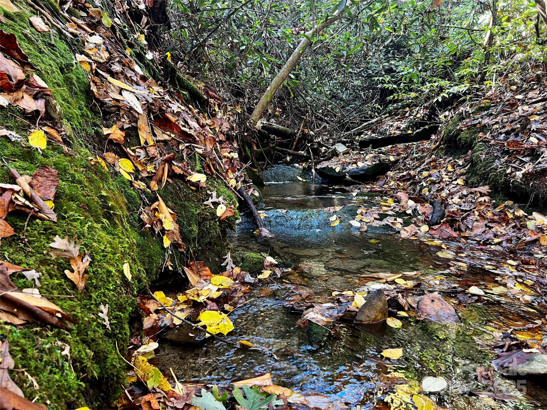 TBD Old Toxaway Road - Photo 5