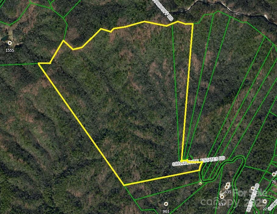 TBD Old Toxaway Road - Photo 7