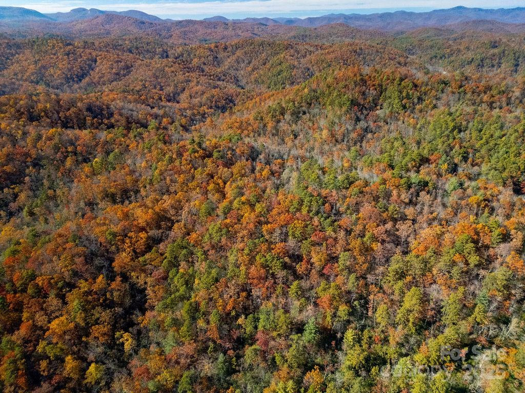 TBD Old Toxaway Road - Photo 8