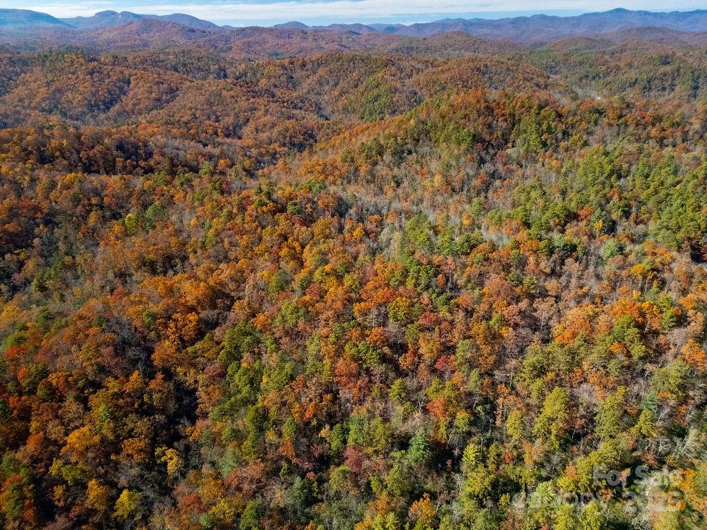 TBD Old Toxaway Road - Photo 8