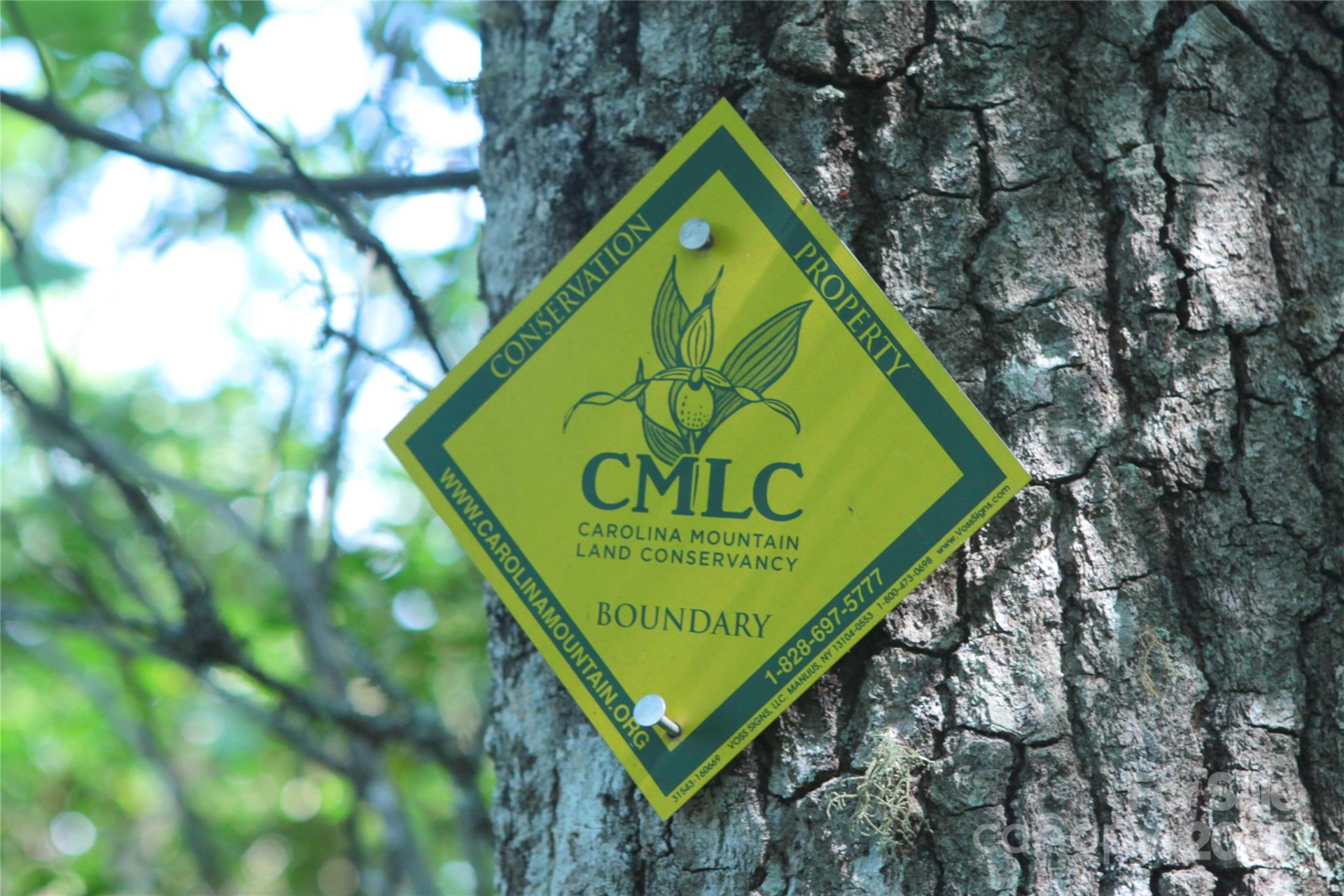 TBD Old Toxaway Road - Photo 9