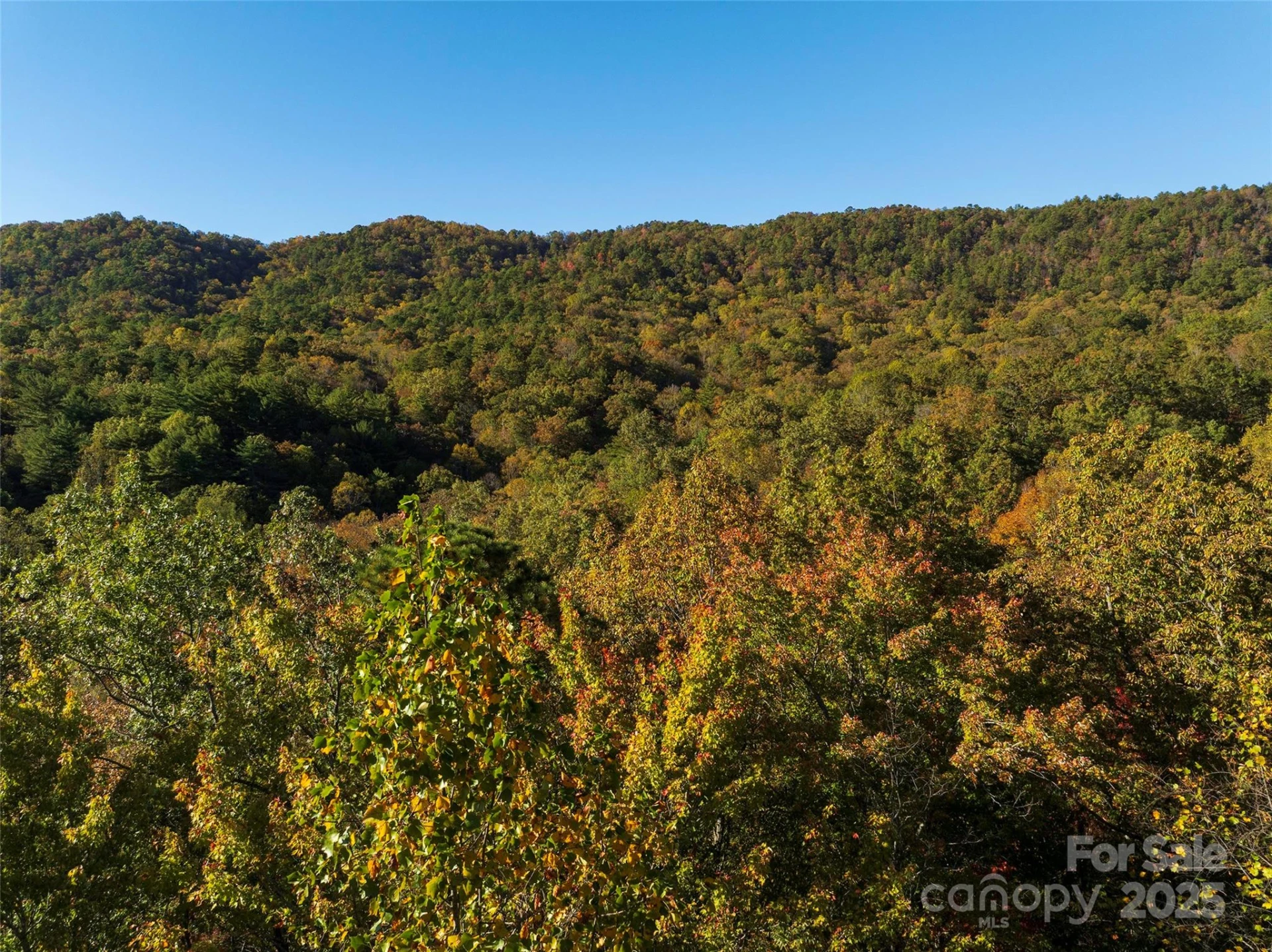TBD Old Toxaway Road - Photo 10