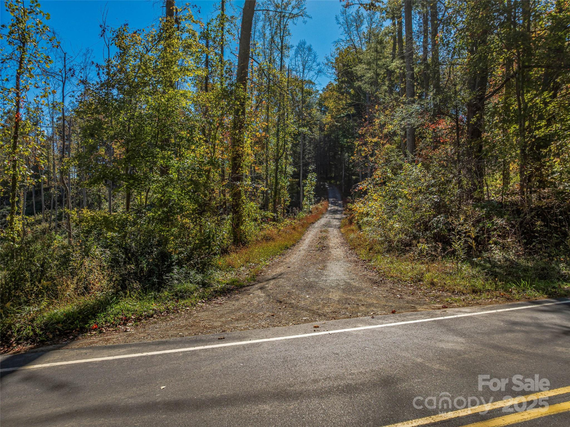 99999 Meadows Town Road - Photo 2