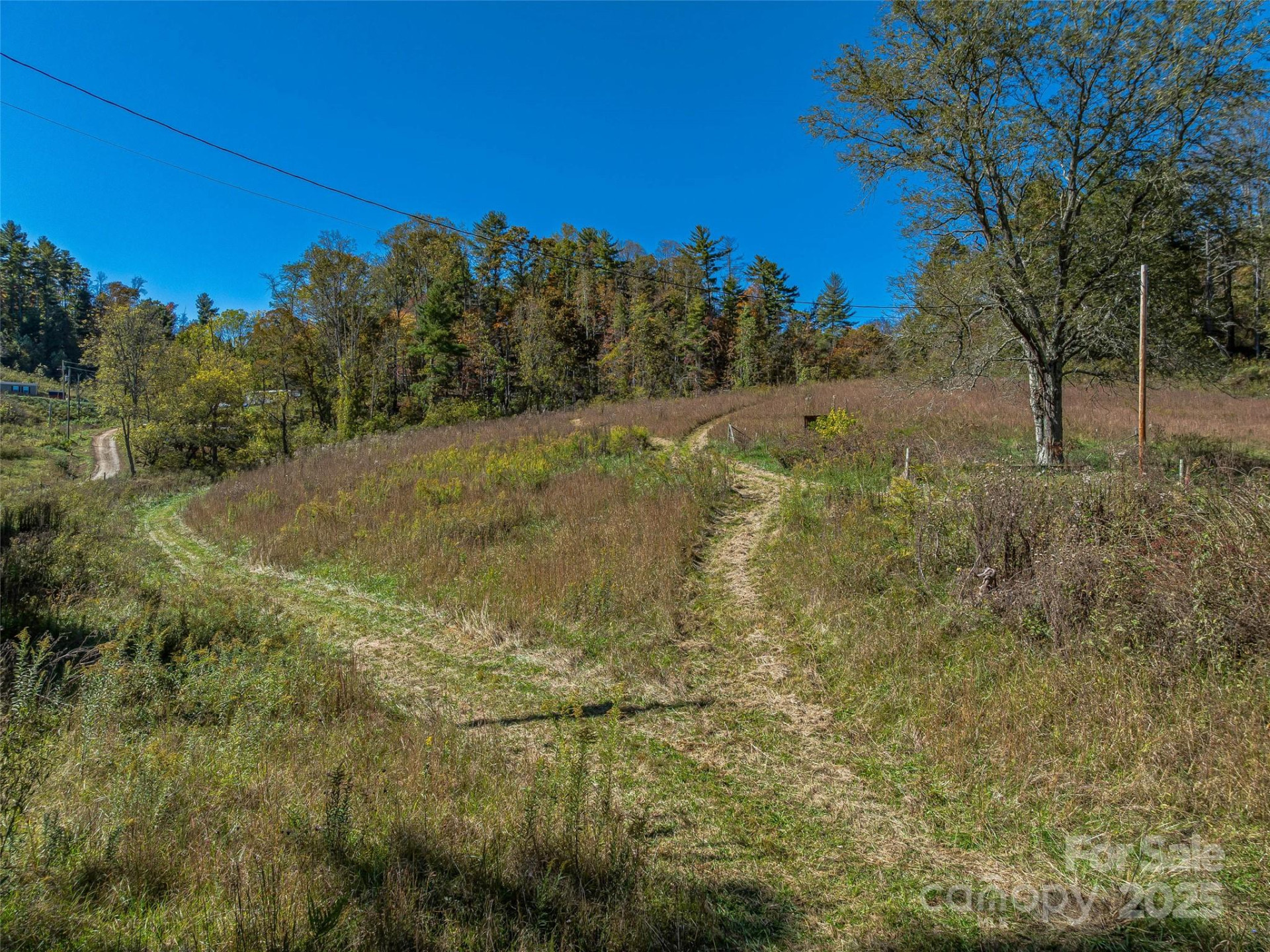 99999 Meadows Town Road - Photo 13