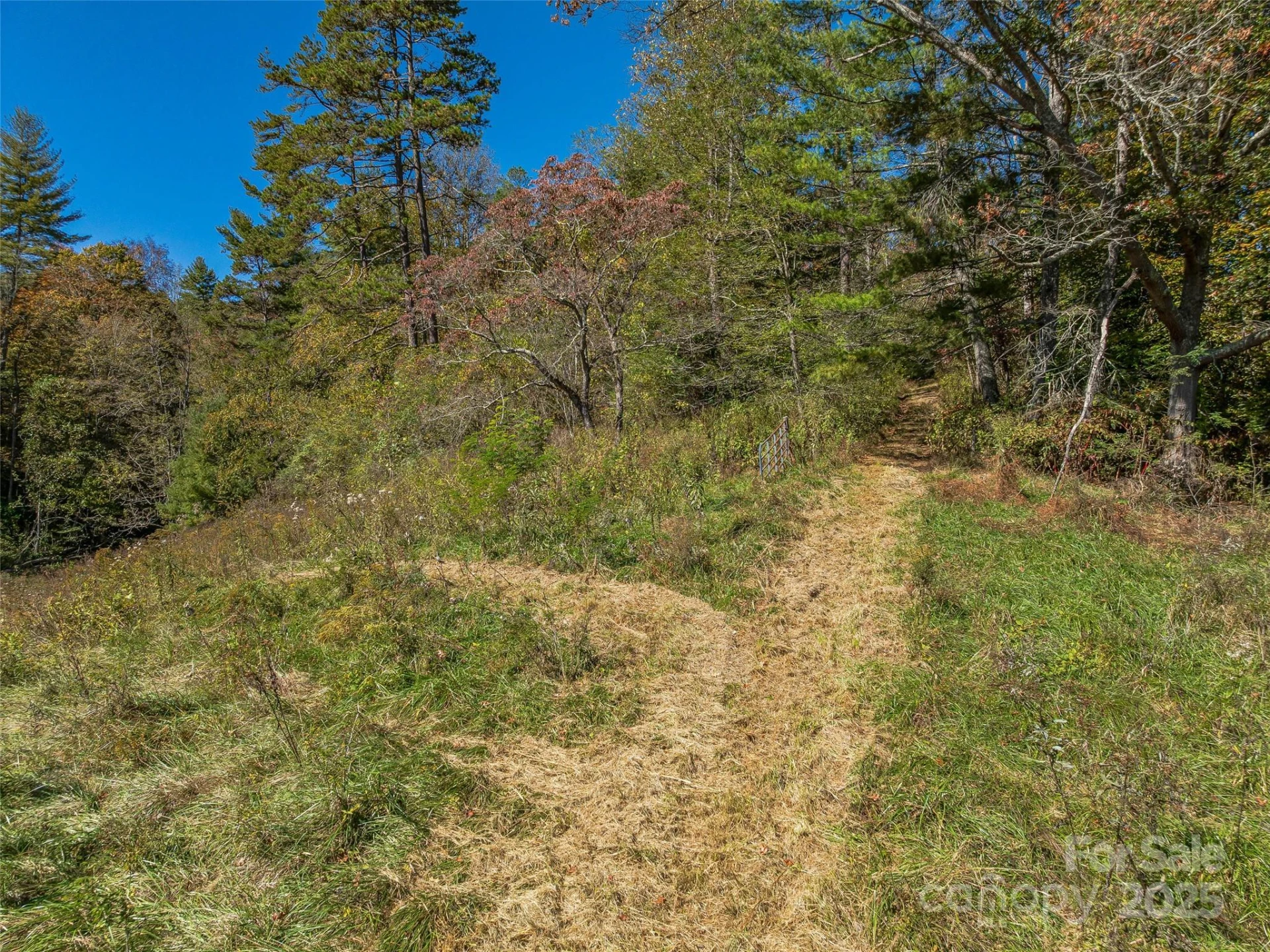 99999 Meadows Town Road - Photo 15