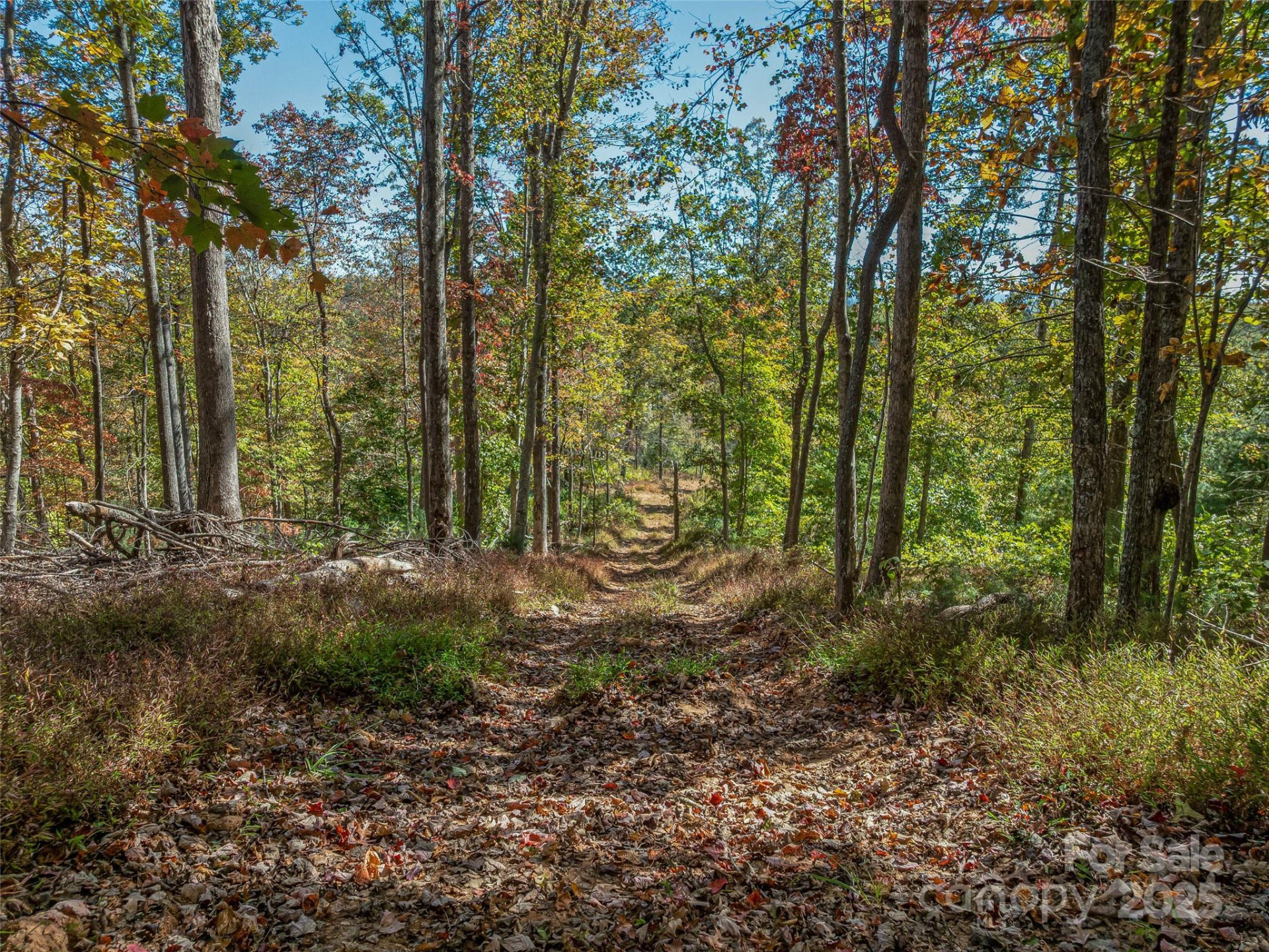 99999 Meadows Town Road - Photo 16