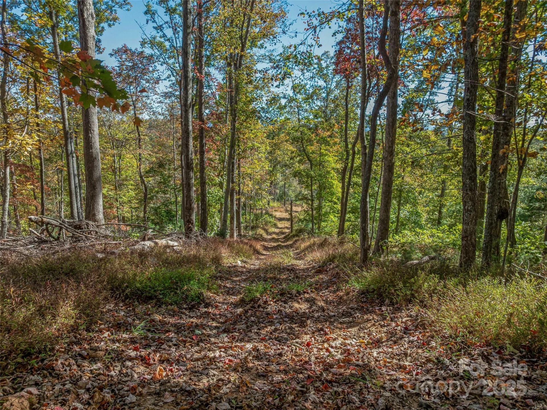 99999 Meadows Town Road - Photo 16