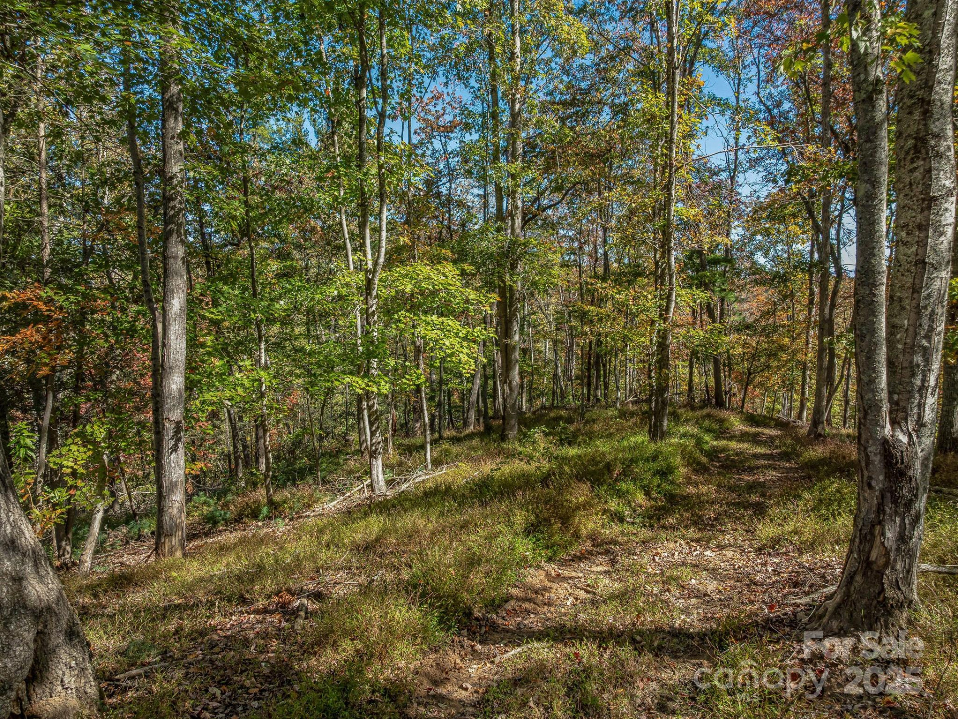 99999 Meadows Town Road - Photo 17