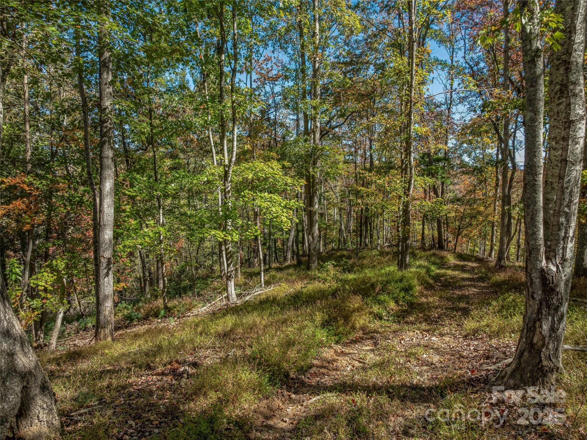 99999 Meadows Town Road - Photo 17