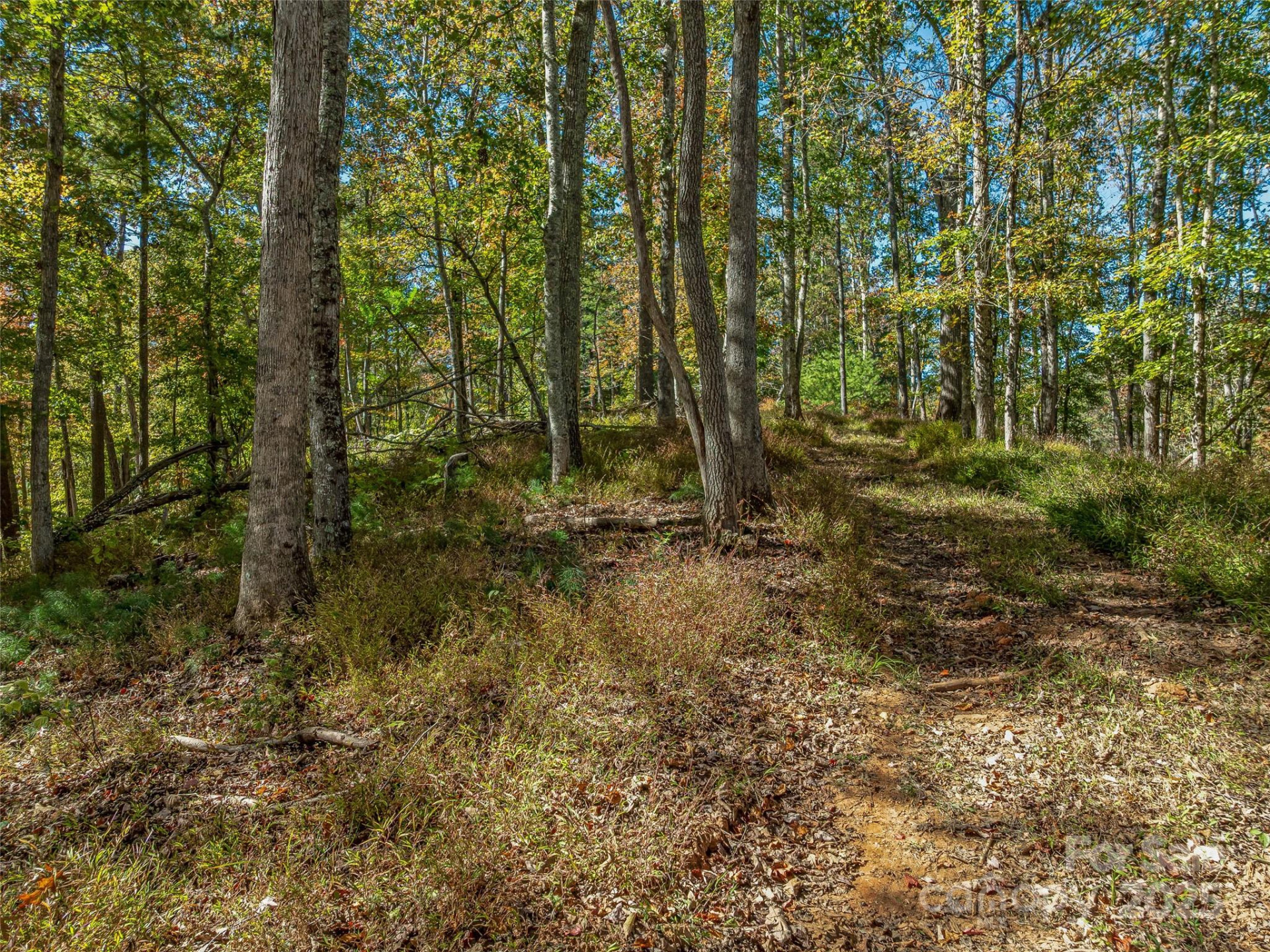 99999 Meadows Town Road - Photo 18