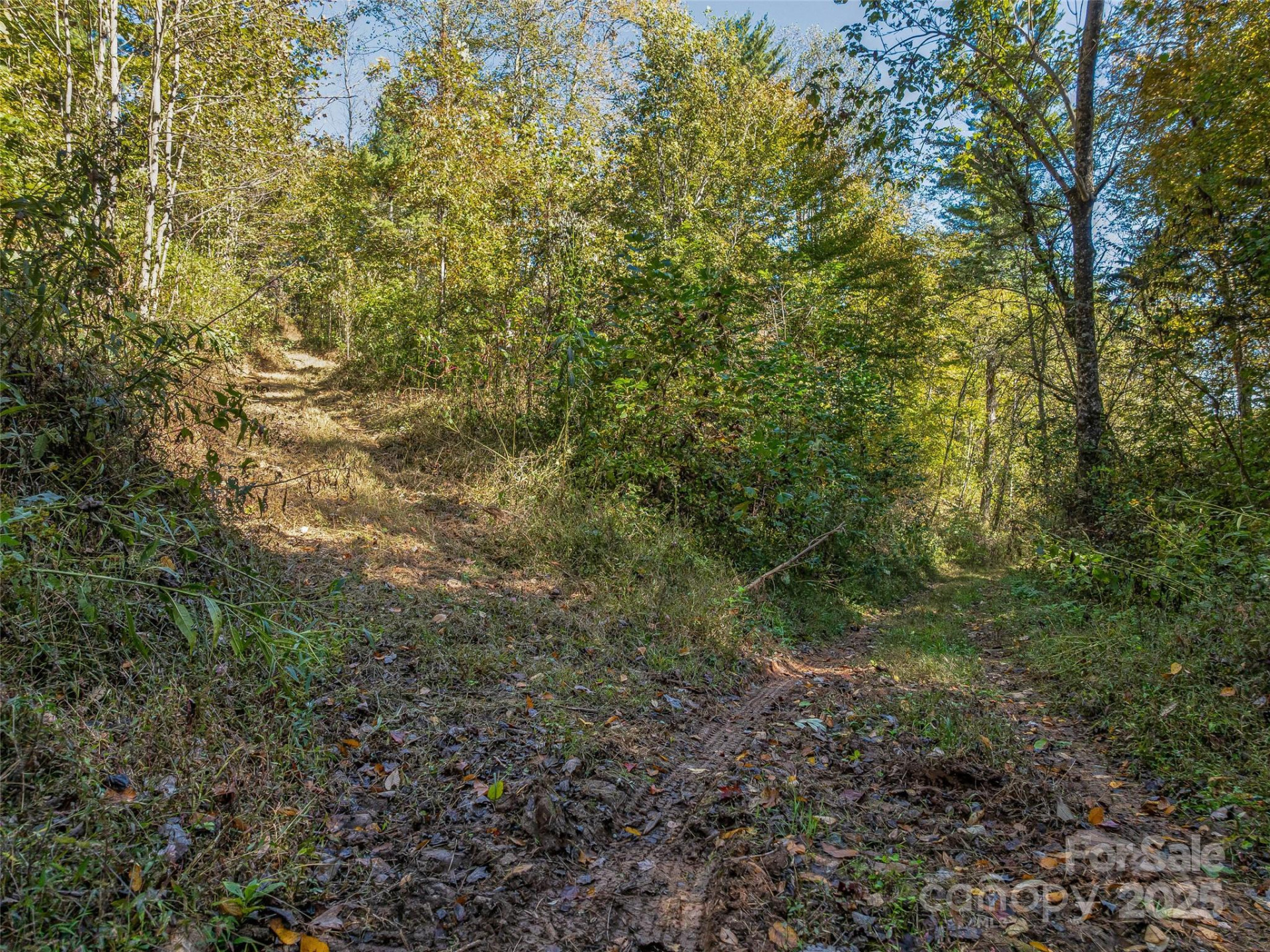 99999 Meadows Town Road - Photo 20