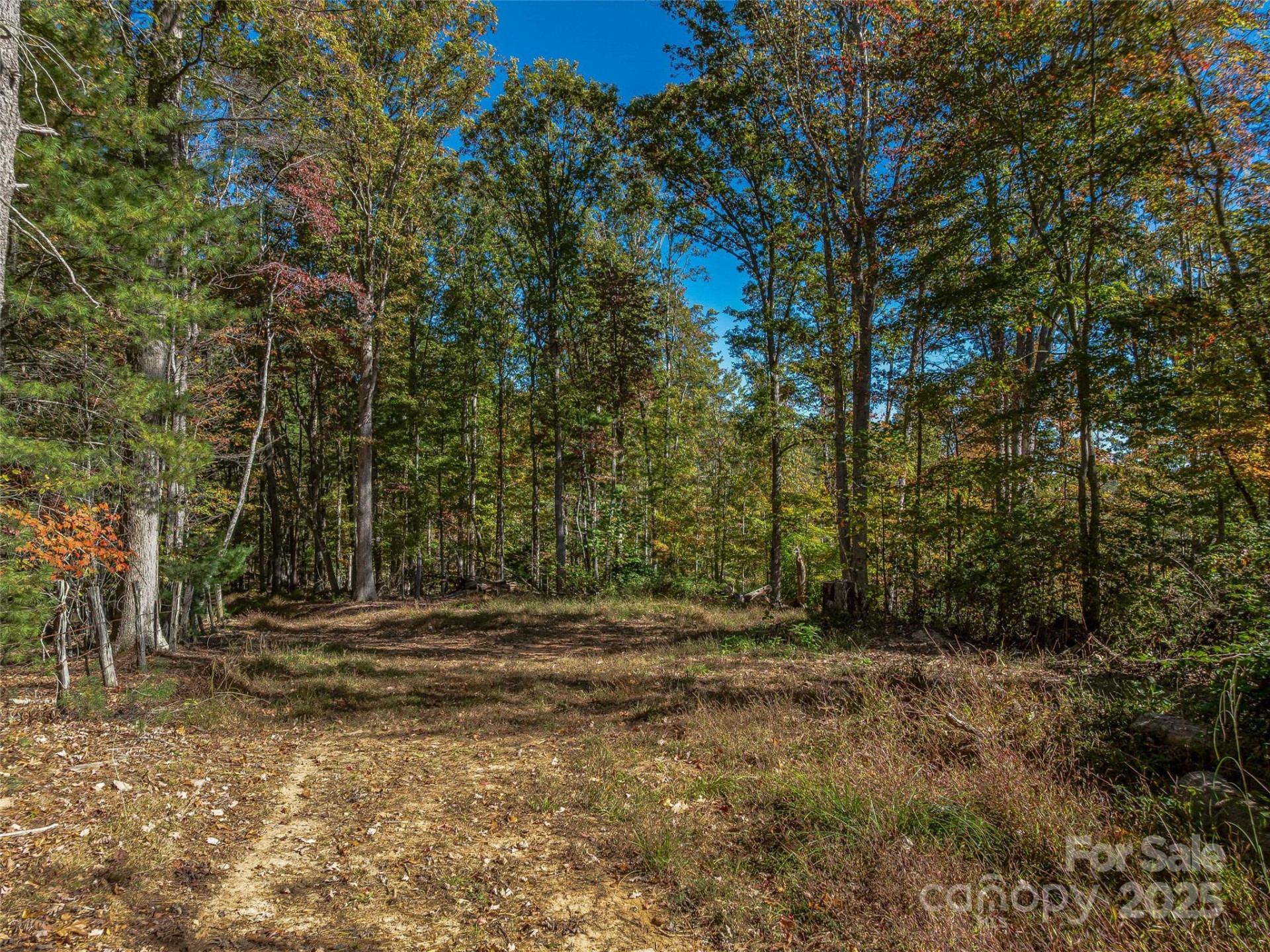 99999 Meadows Town Road - Photo 3