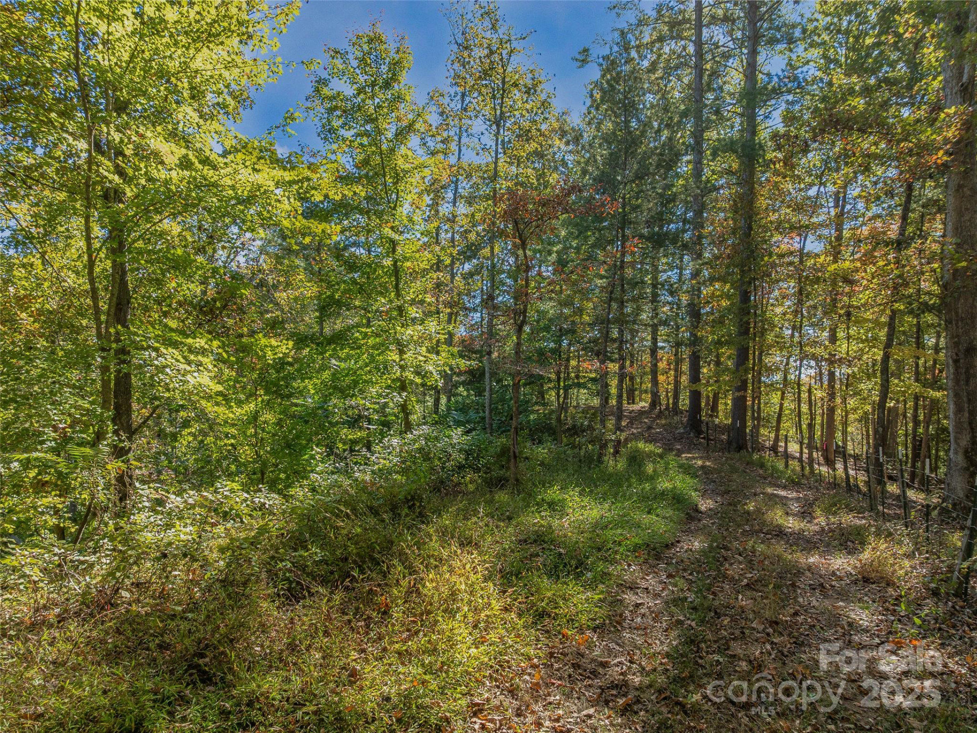 99999 Meadows Town Road - Photo 21