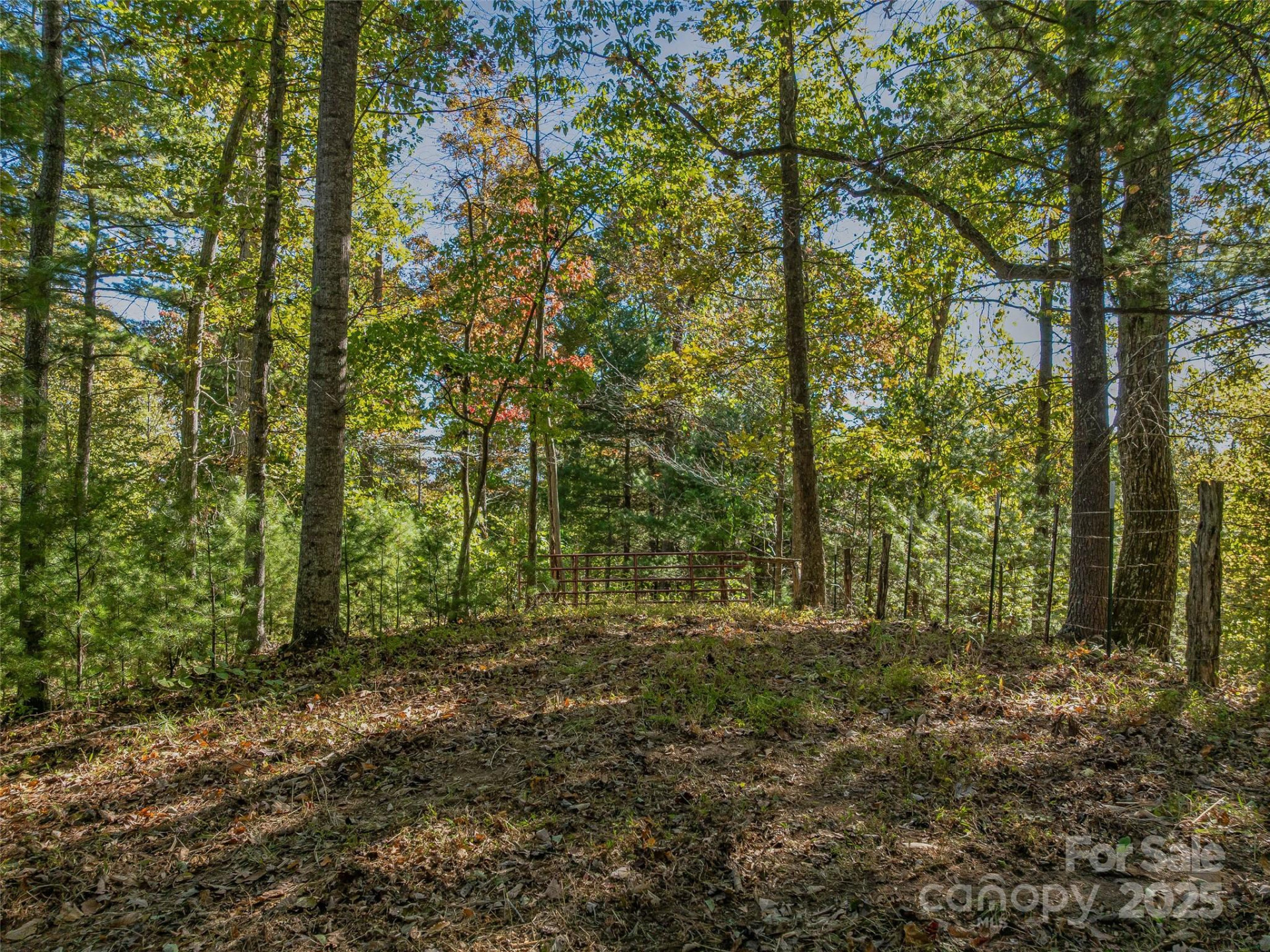 99999 Meadows Town Road - Photo 23