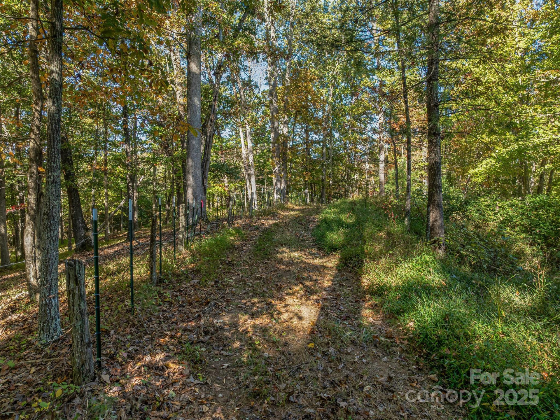 99999 Meadows Town Road - Photo 24