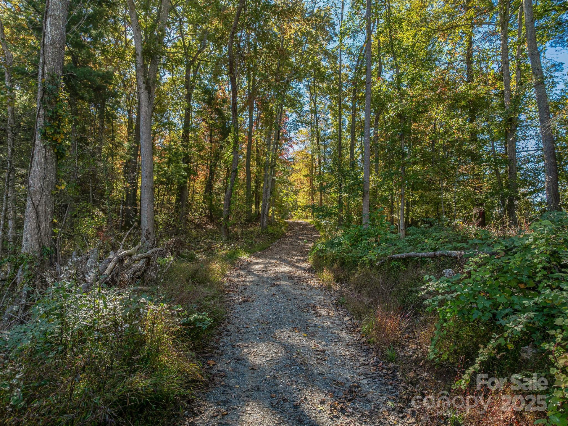 99999 Meadows Town Road - Photo 25