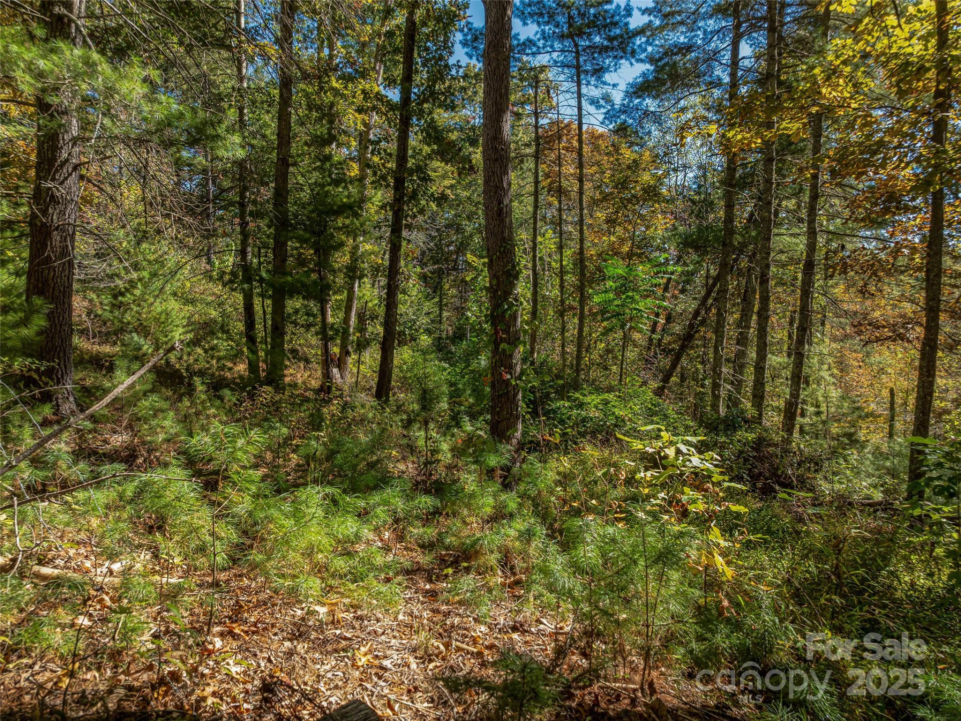 99999 Meadows Town Road - Photo 27