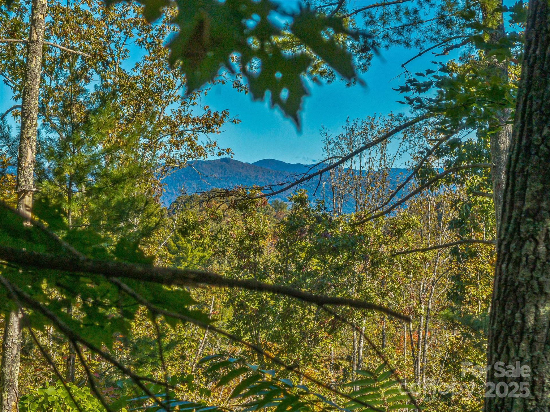 99999 Meadows Town Road - Photo 30