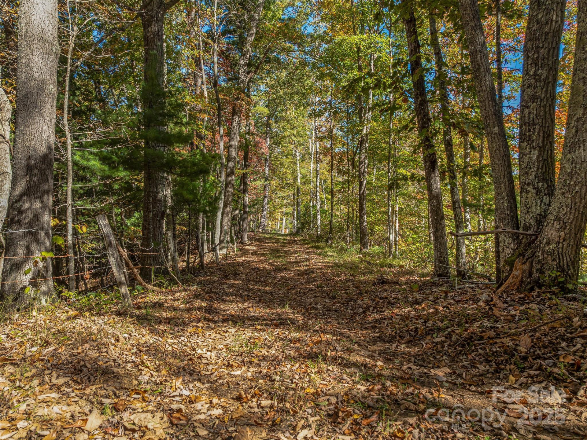 99999 Meadows Town Road - Photo 4