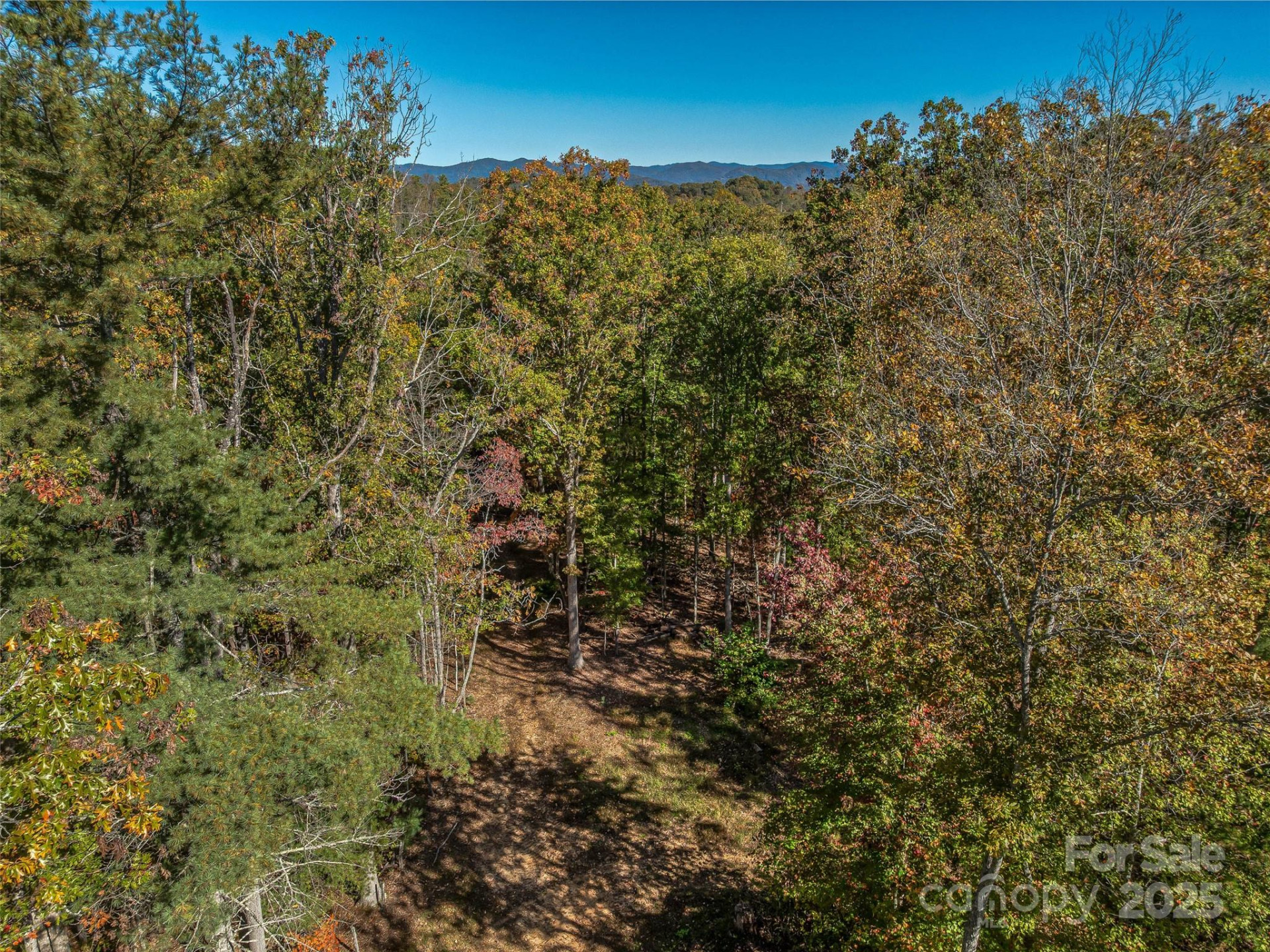 99999 Meadows Town Road - Photo 32