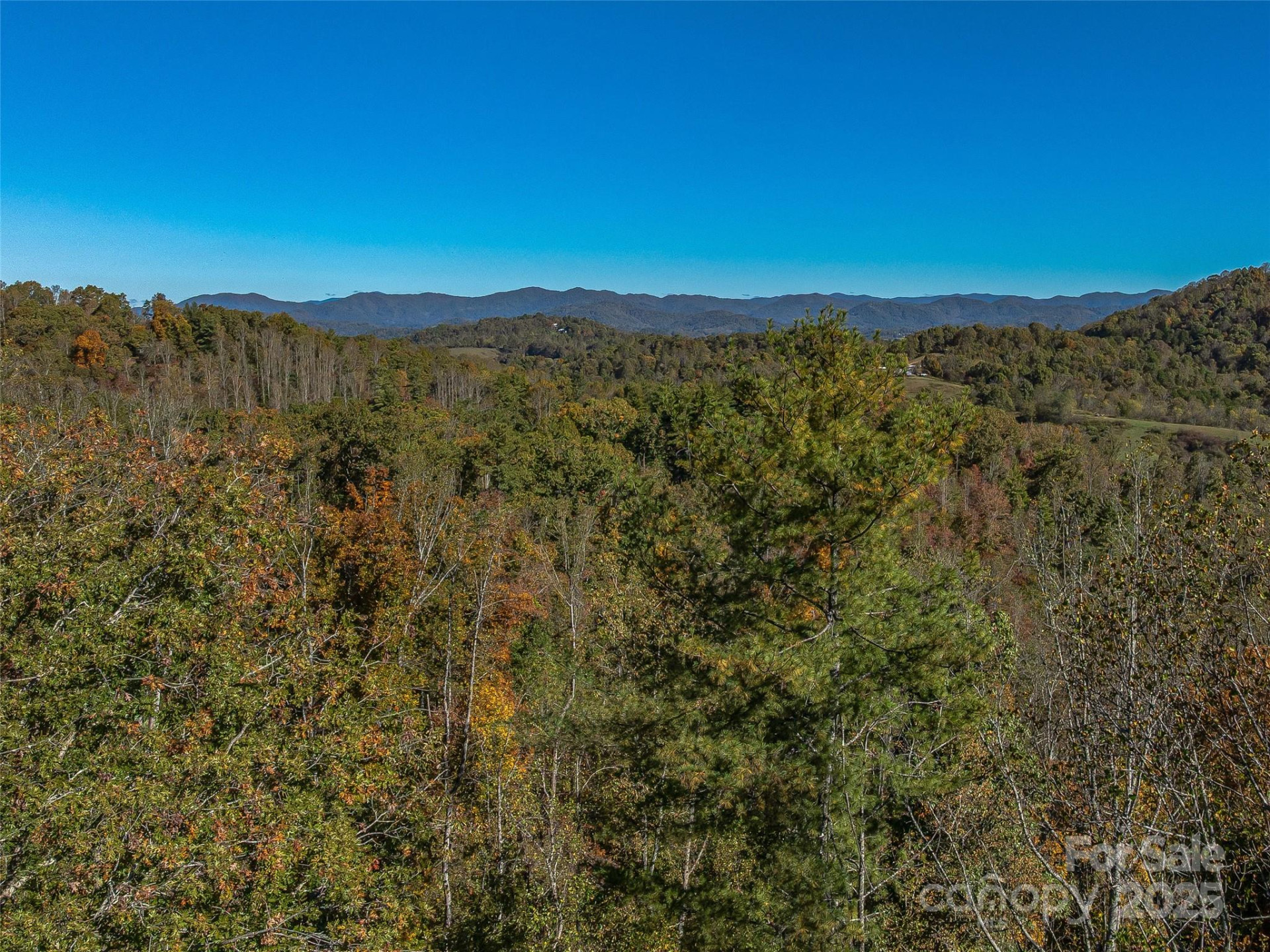 99999 Meadows Town Road - Photo 36