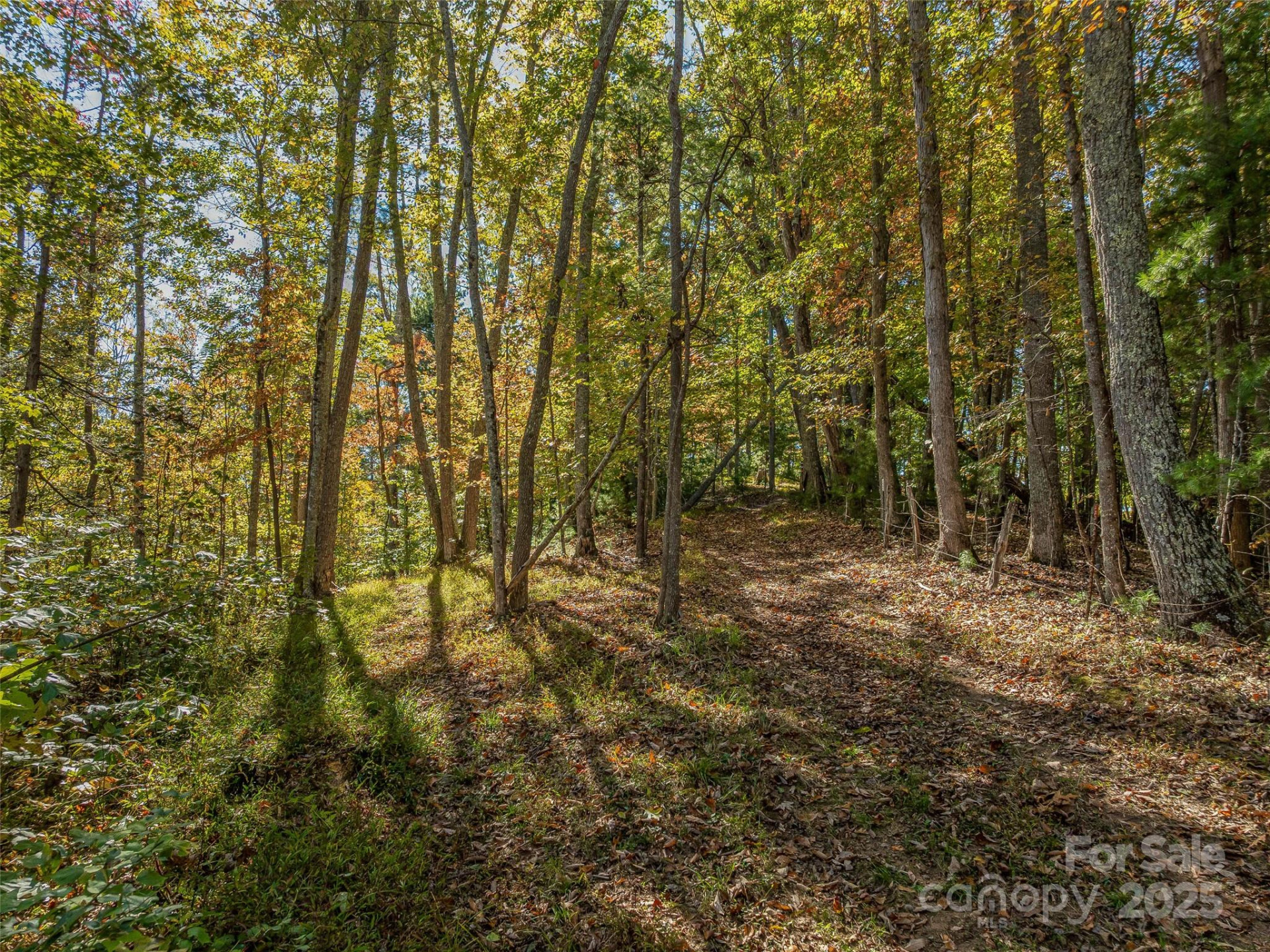 99999 Meadows Town Road - Photo 7