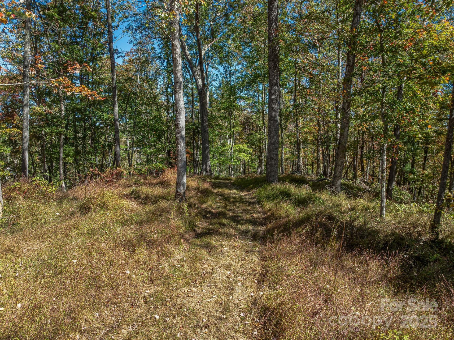 99999 Meadows Town Road - Photo 8