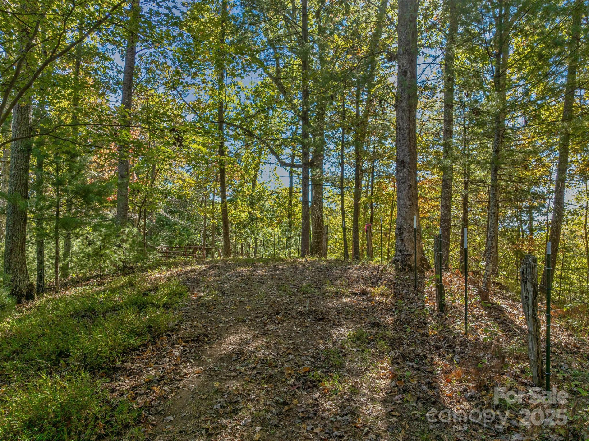 99999 Meadows Town Road - Photo 9