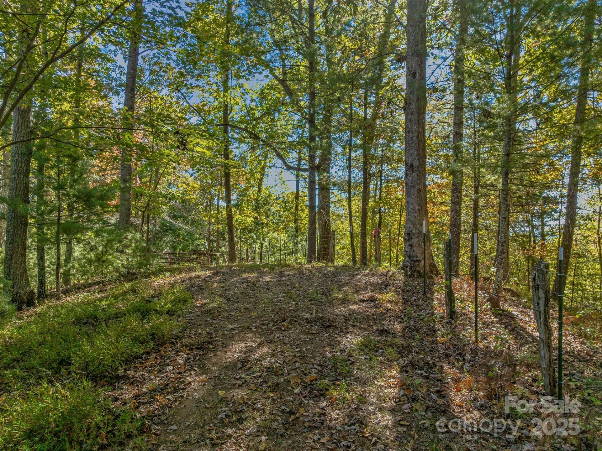 99999 Meadows Town Road - Photo 9