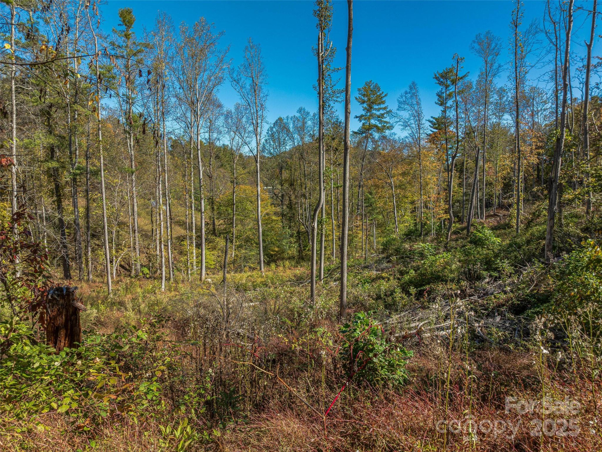 99999 Meadows Town Road - Photo 10