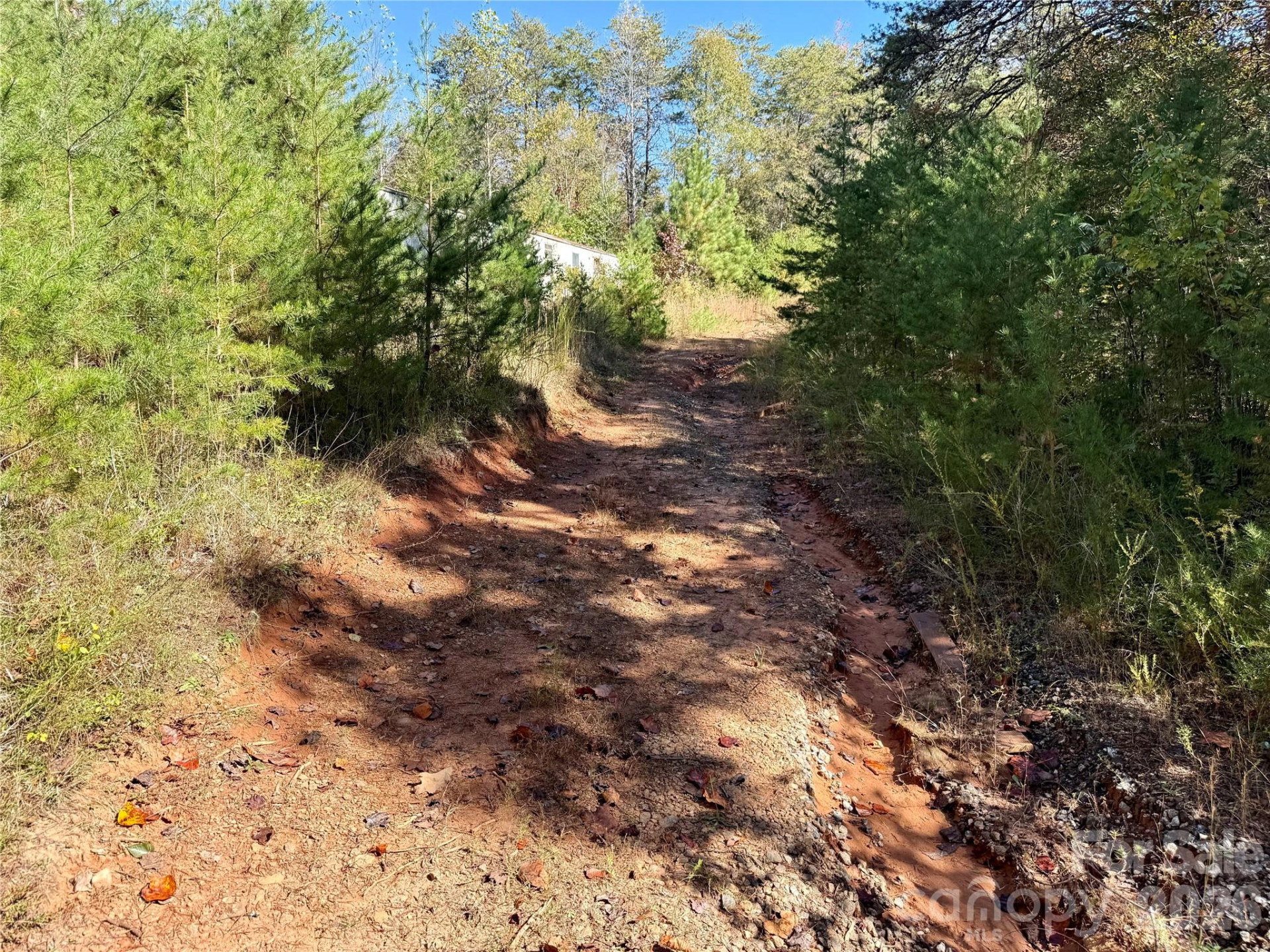 229 Kelsey Lane - Photo 26