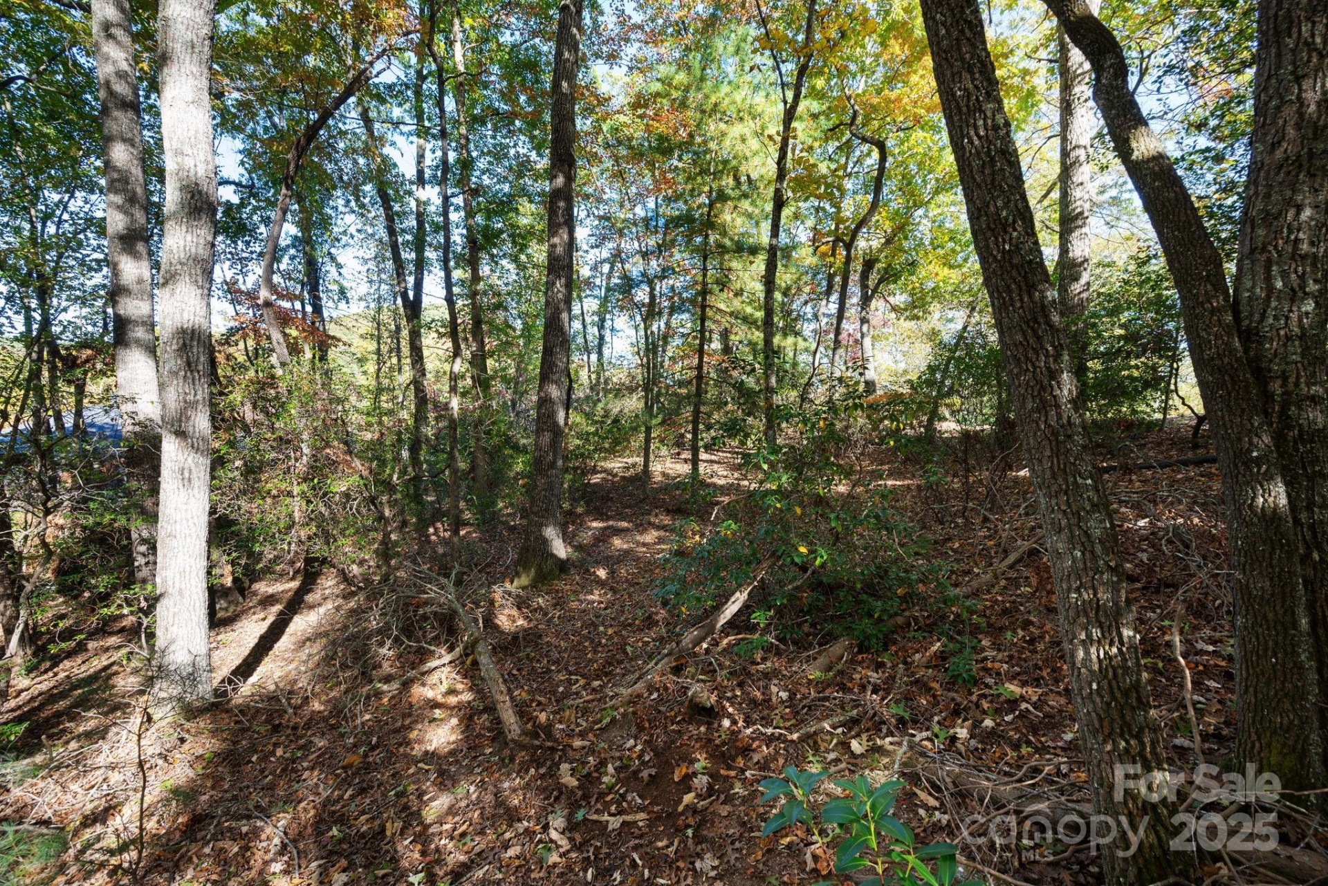 2002 Song Breeze Trail - Photo 11