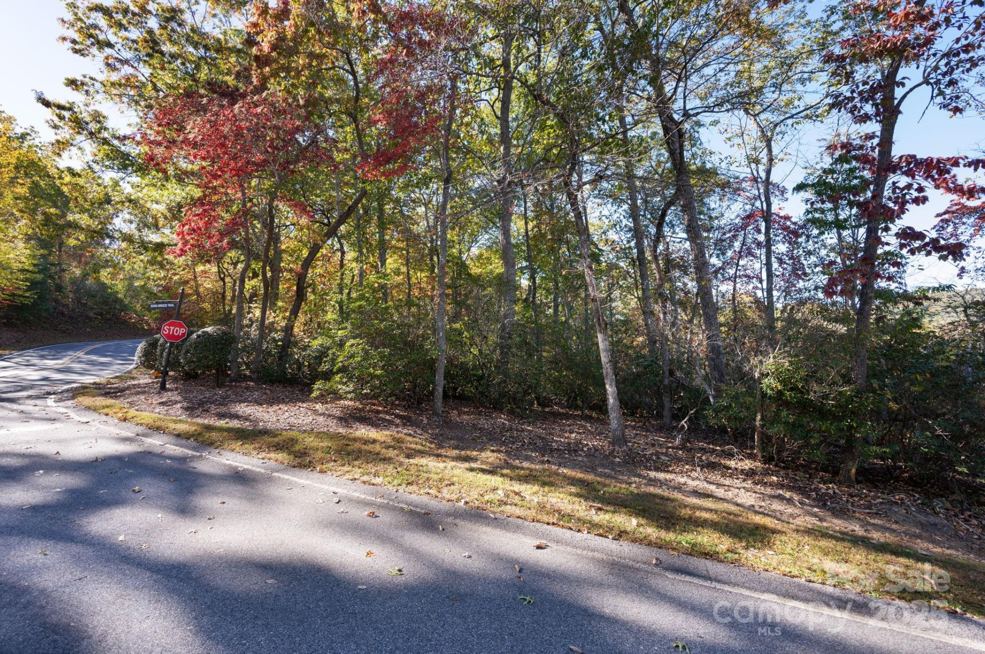 2002 Song Breeze Trail - Photo 7