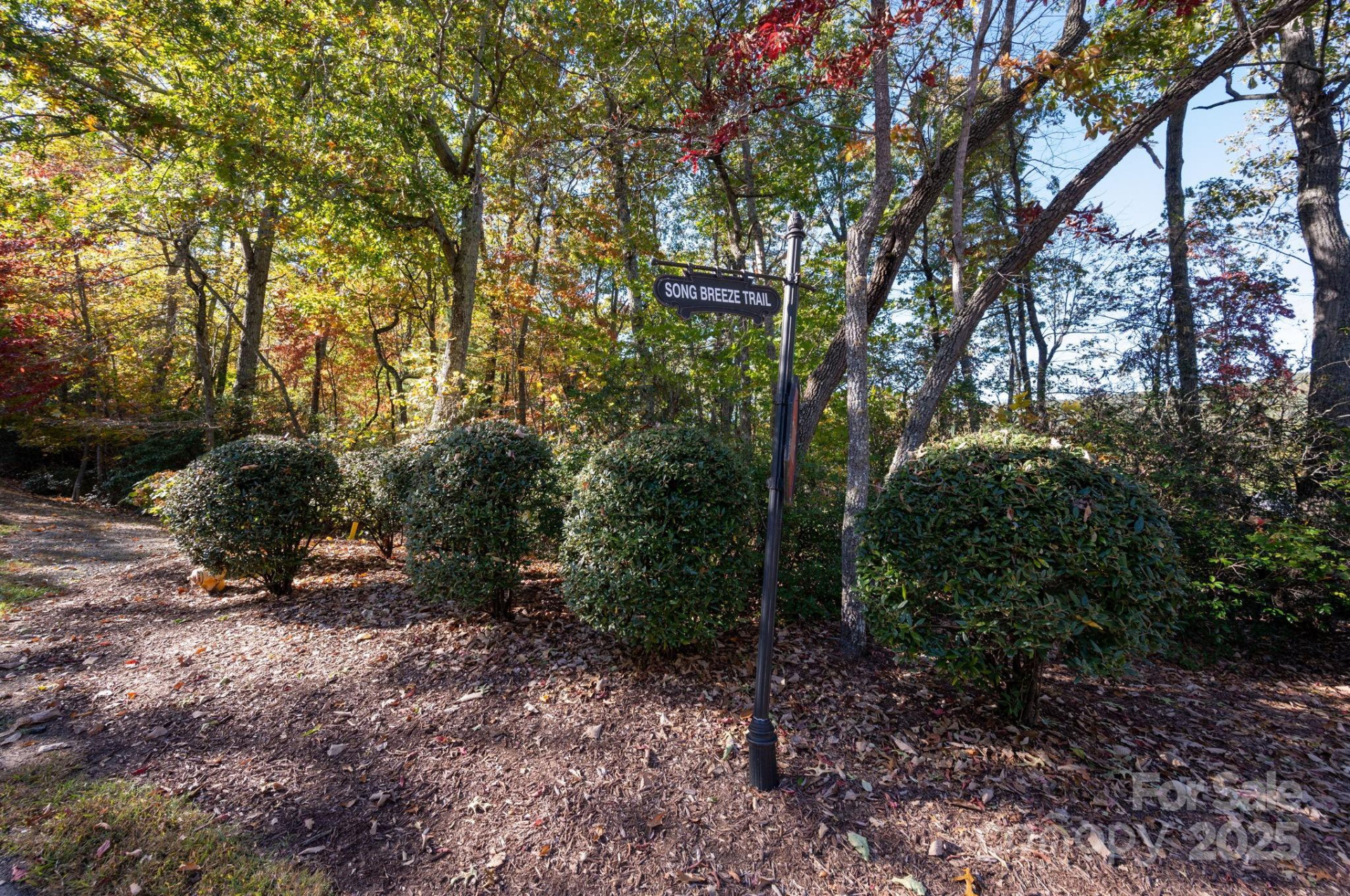 2002 Song Breeze Trail - Photo 8