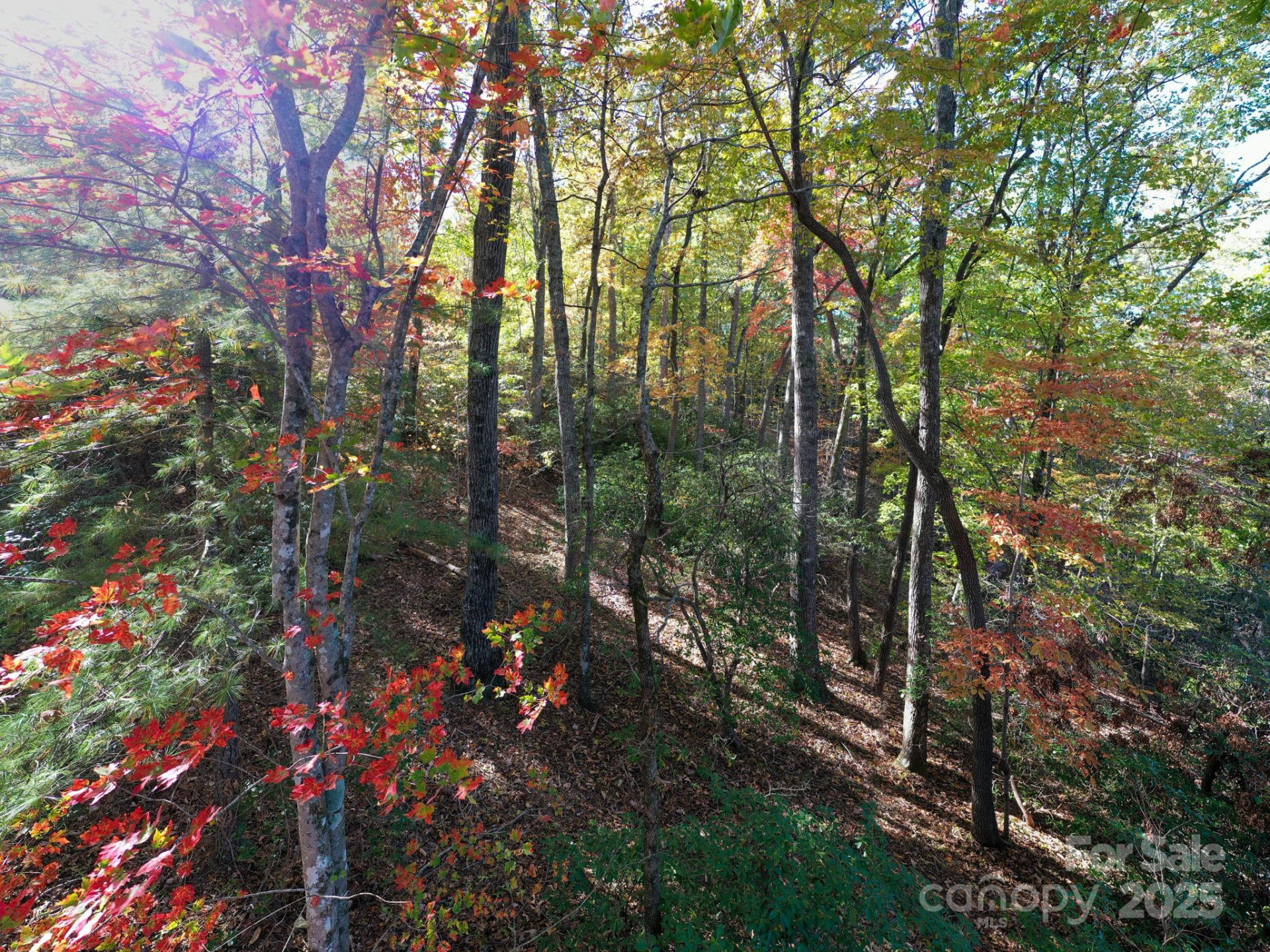 2002 Song Breeze Trail - Photo 9