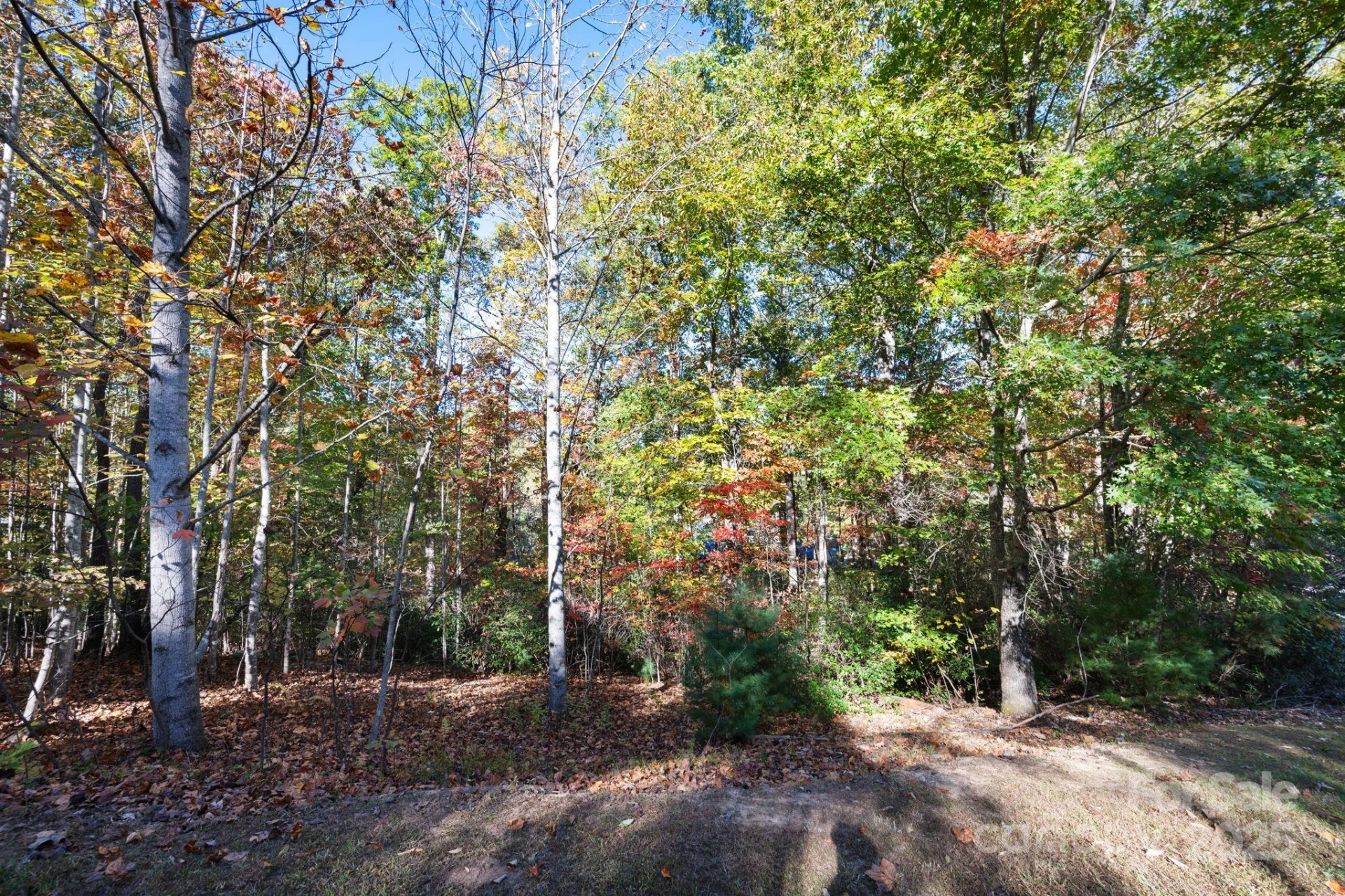 2002 Song Breeze Trail - Photo 10