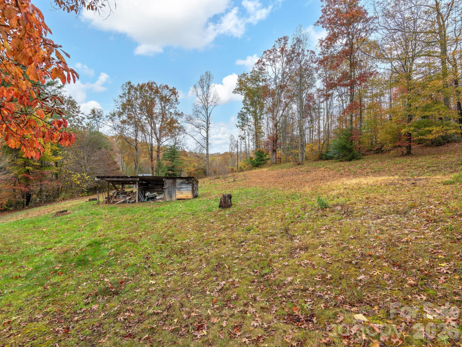 6 Star Berry Lane - Photo 6