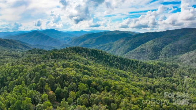 999 Poplar Creek Road, Green Mountain, NC, 28740