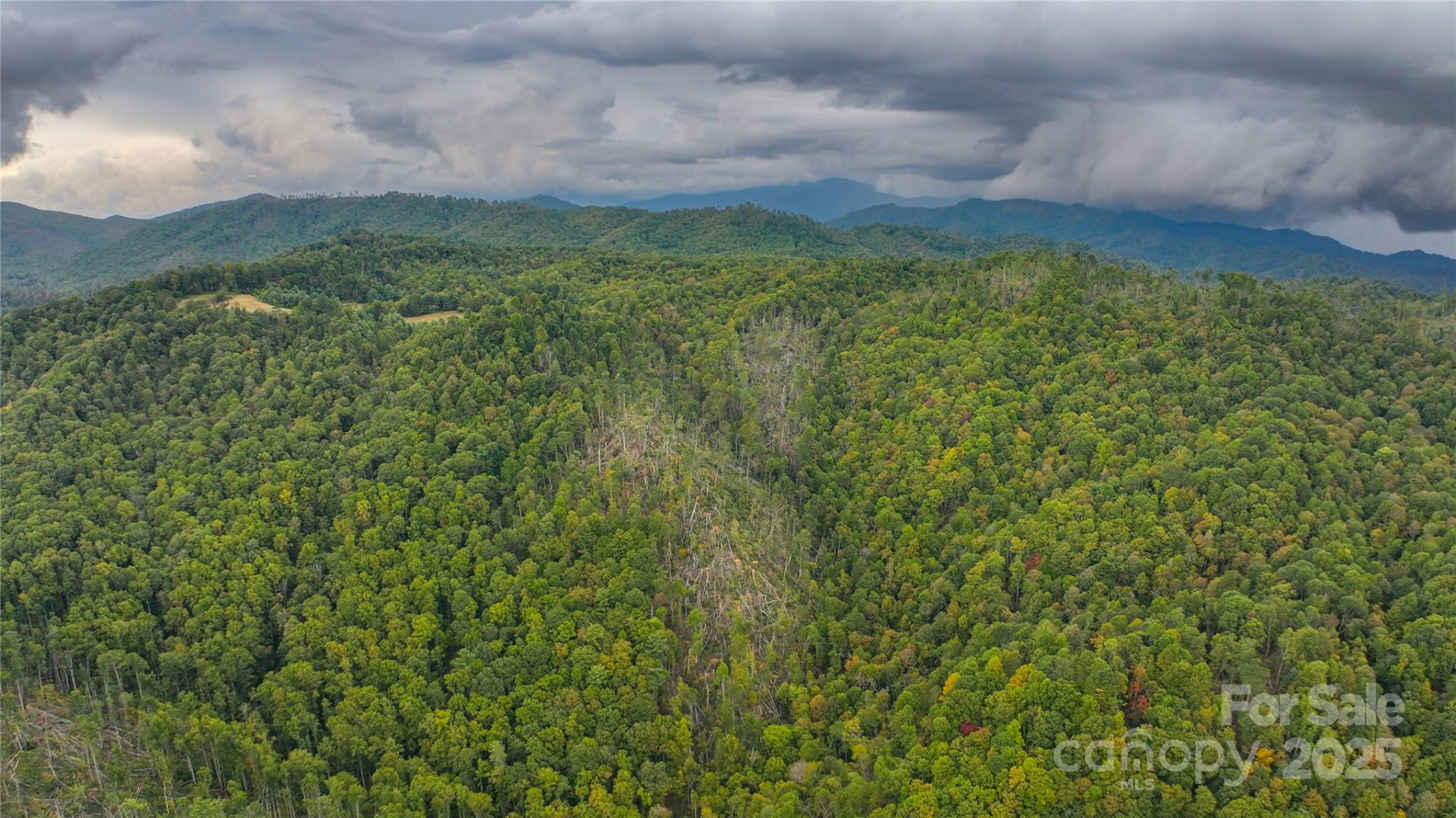 999 Poplar Creek Road - Photo 2