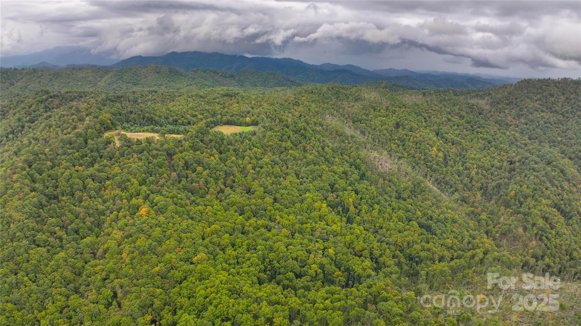 999 Poplar Creek Road - Photo 11