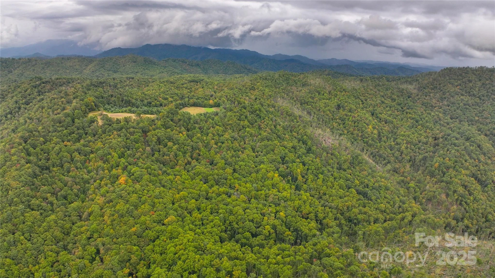 999 Poplar Creek Road - Photo 11